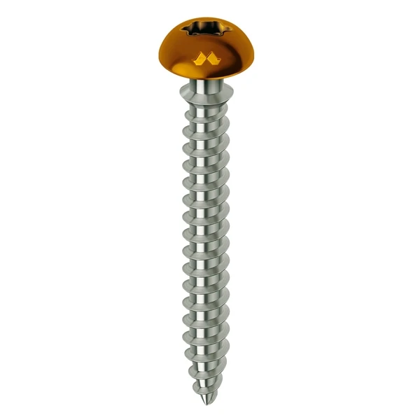 Vis Cadre PVC Marron FRAMEX CLIP TX 25 6X70 Bte De 100 Mustad 1 Vis Cadre PVC Marron FRAMEX CLIP TX 25 6X70 Bte De 100 Mustad